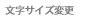 �����T�C�Y�ύX