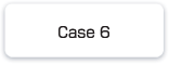 case06