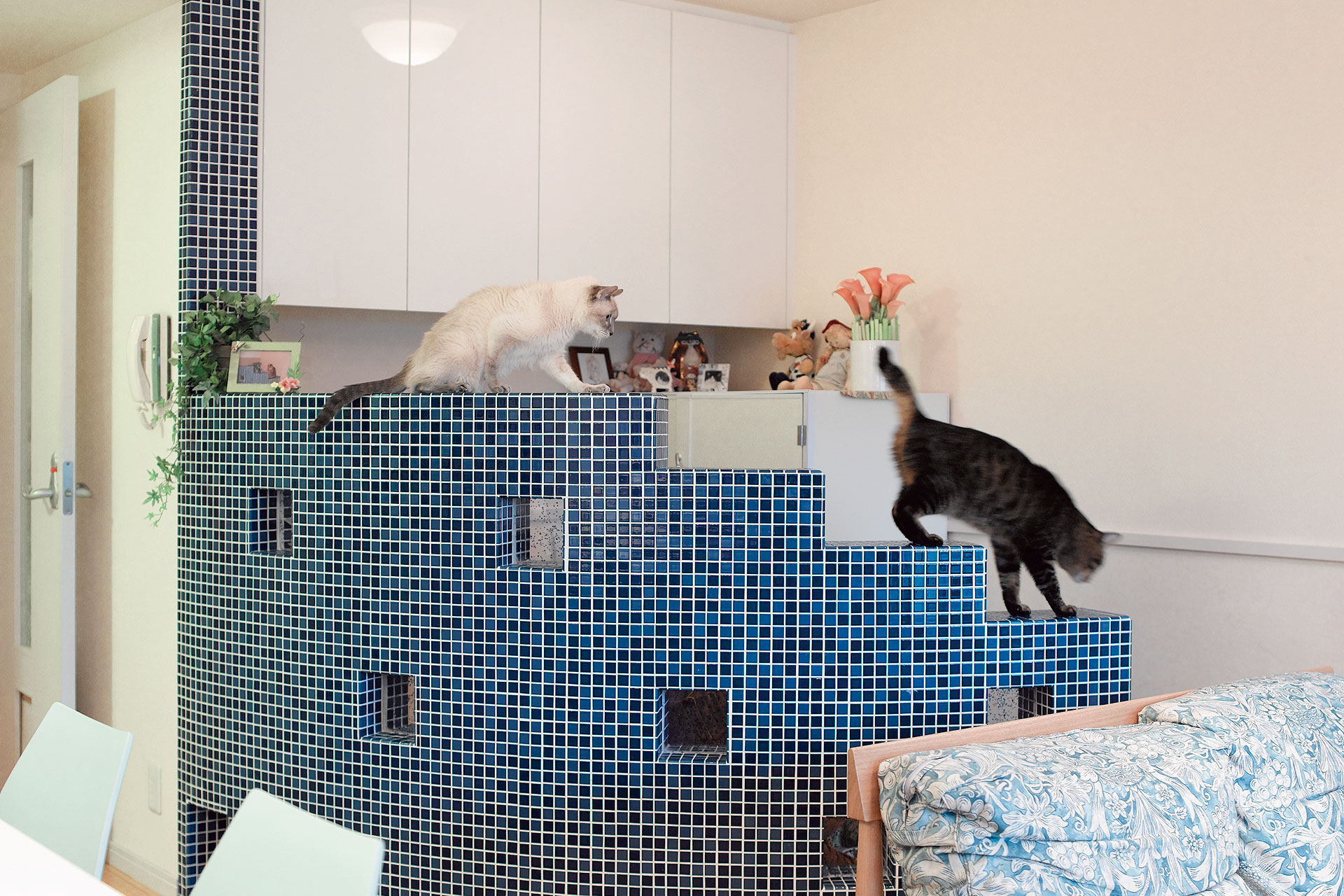 愛猫4匹も大満足 おしゃれで楽しい猫専用コーナー マンションリフォーム 住宅リフォームなら三井のリフォーム