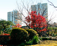 写真：三田綱町パークマンション