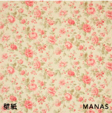 壁紙　MANAS