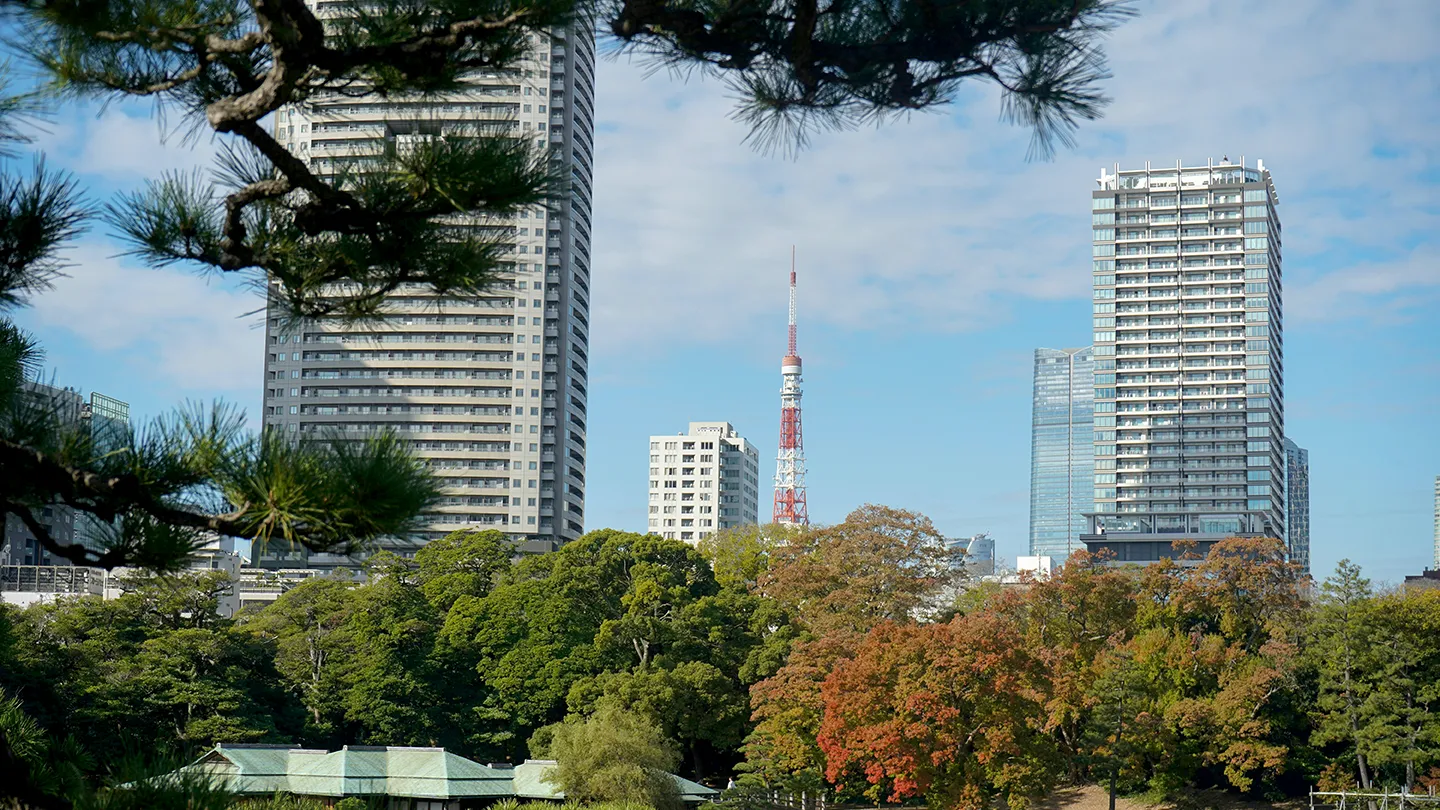 リノベーション会社選びのポイント
