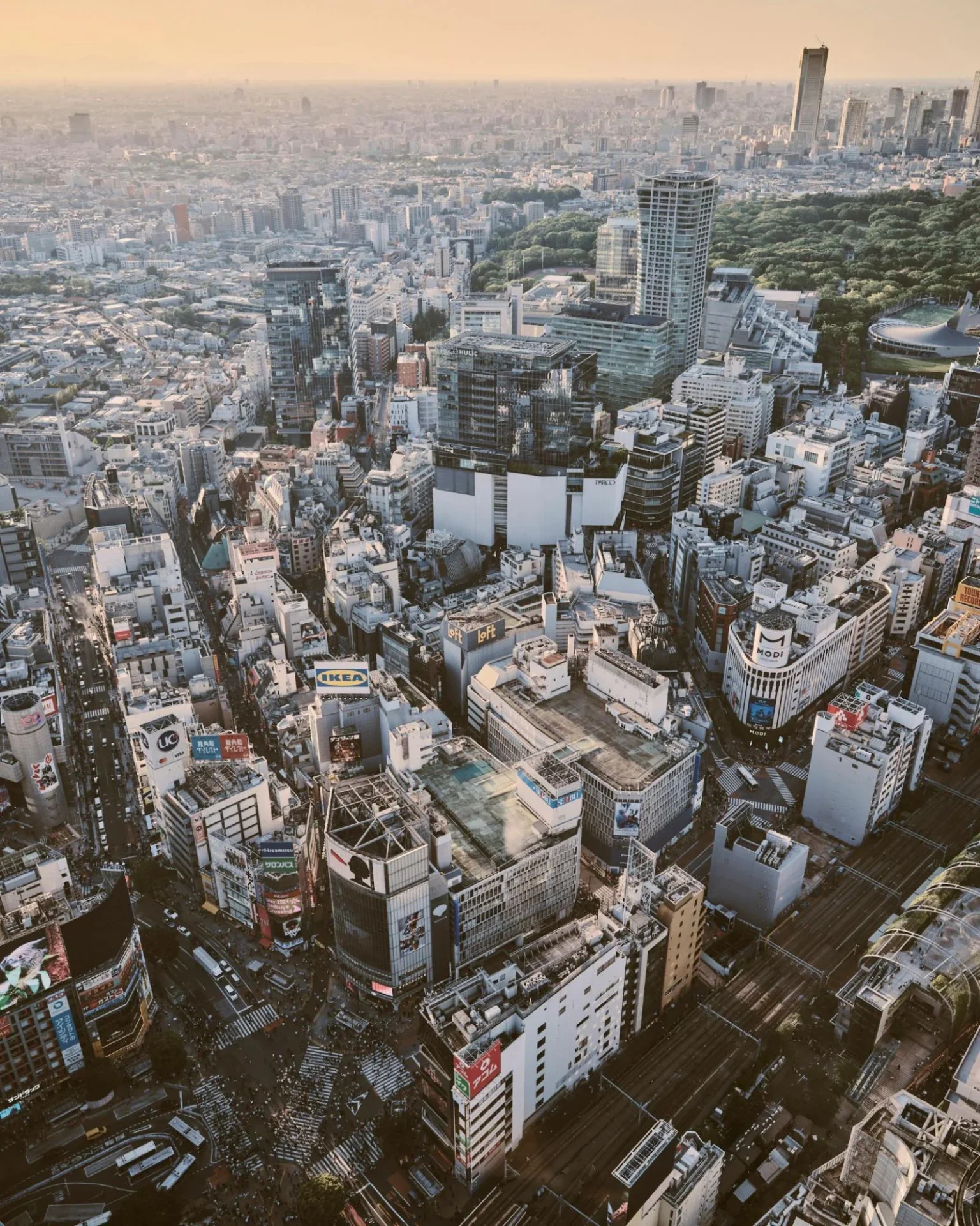 渋谷区の街並み