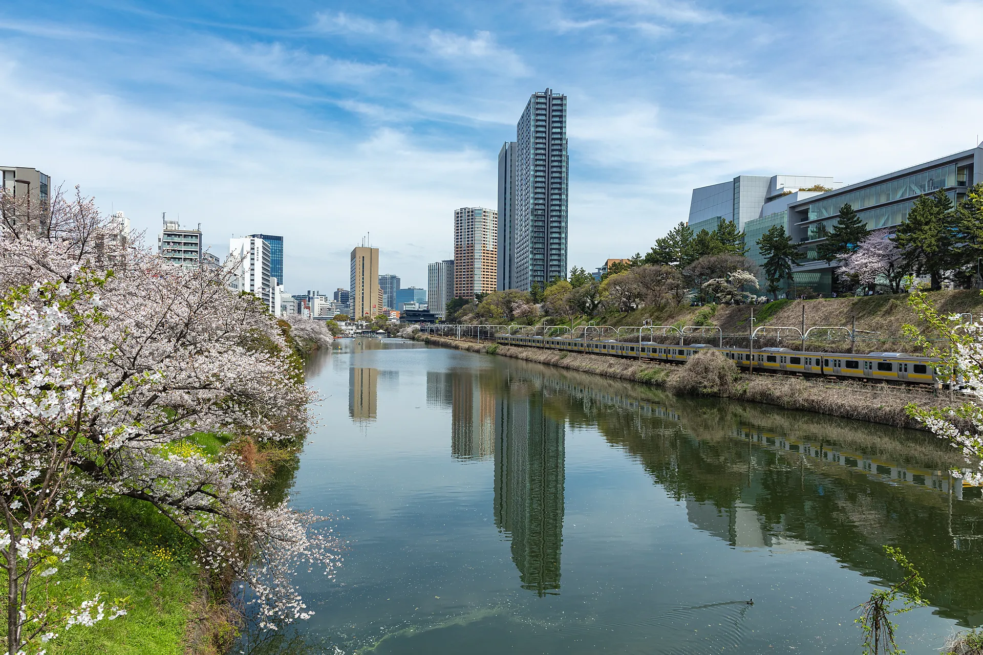 外濠公園と電車の風景